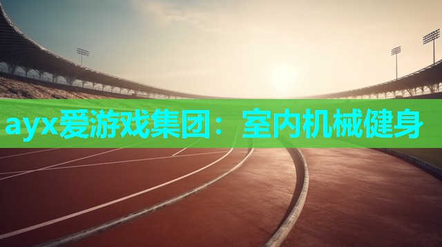 ayx爱游戏集团：室内机械健身