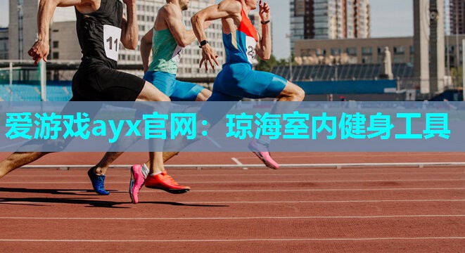 爱游戏ayx官网：琼海室内健身工具