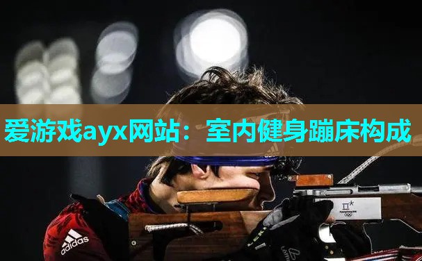 爱游戏ayx网站：室内健身蹦床构成