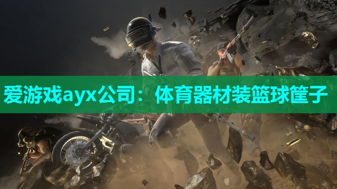 爱游戏ayx公司：体育器材装篮球筐子