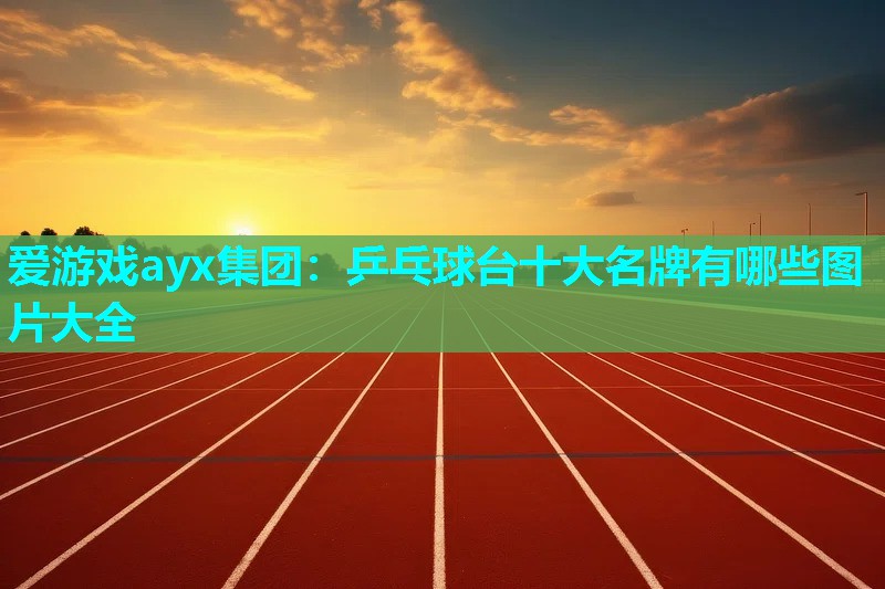 爱游戏ayx集团：乒乓球台十大名牌有哪些图片大全