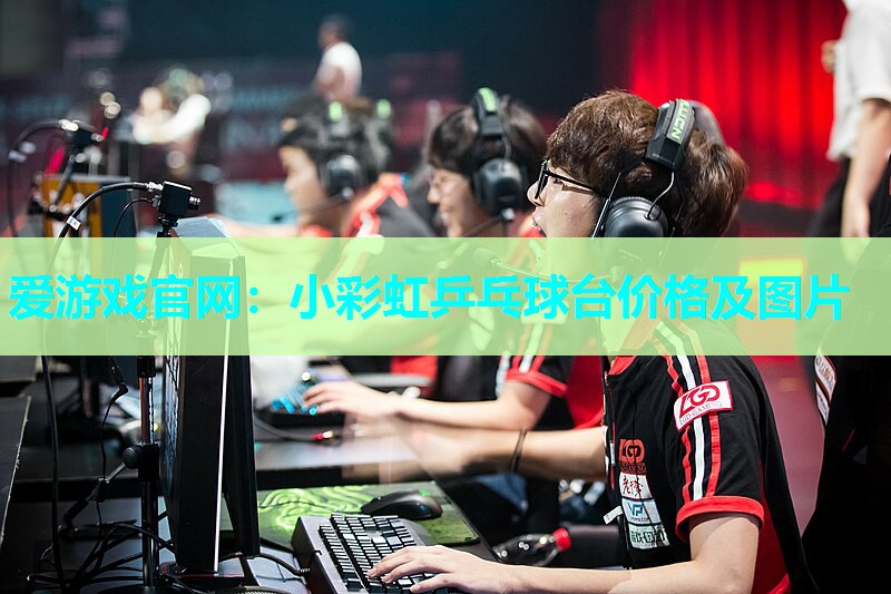 爱游戏官网：小彩虹乒乓球台价格及图片