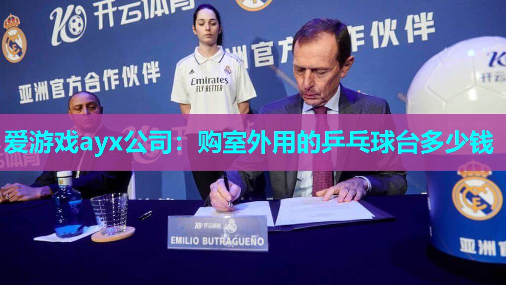 爱游戏ayx公司：购室外用的乒乓球台多少钱