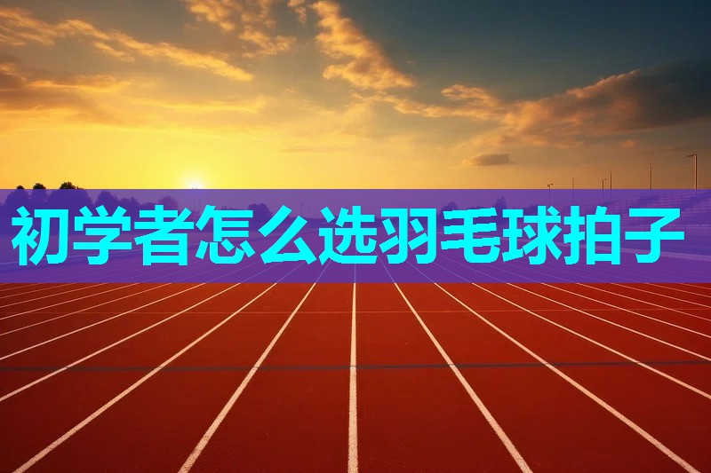 初学者怎么选羽毛球拍子