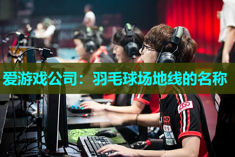 羽毛球场地线的名称