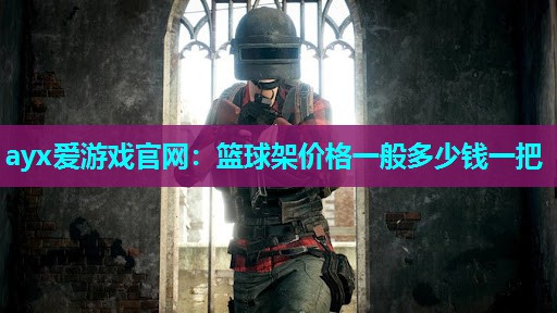 篮球架价格一般多少钱一把