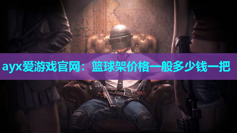 篮球架价格一般多少钱一把